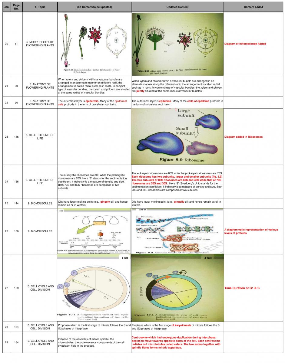 ncert-class-11-biology-changes-announced